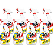 Shout Laundry Stain Remover Spray (652467CT)