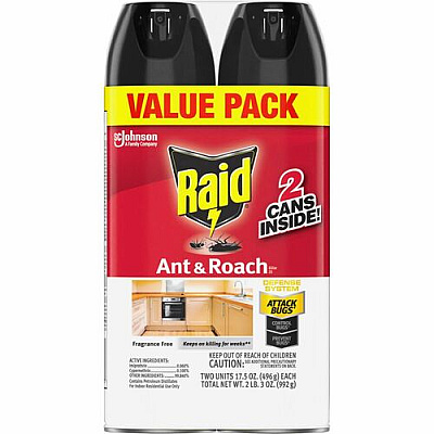 Raid Ant & Roach Killer Spray (386225CT)