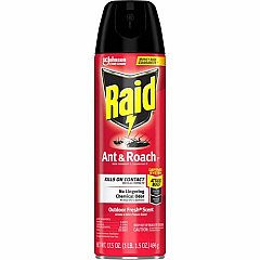 Raid Ant & Roach Killer Spray (386220)