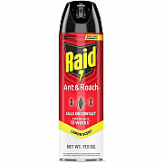 Raid Ant & Roach Killer Spray (386214)