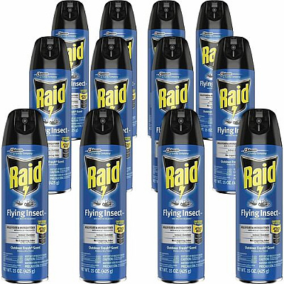 Raid Flying Insect Spray (379008CT)