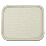 Chinet Savaday Molded Fiber Food Trays, 1-Compartment, 9 x 12 x 1, White, 250/Carton (20802)