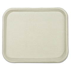 Chinet Savaday Molded Fiber Food Trays, 1-Compartment, 9 x 12 x 1, White, 250/Carton (20802)