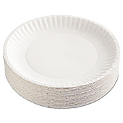 AJM Packaging Corporation Paper Plates, 9" dia, White, 100/Pack (PP9GRAWHPK)