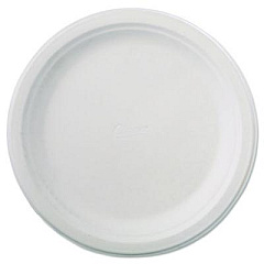 Chinet Classic Paper Dinnerware, Plate, 9.75" dia, White, 125/Pack, 4 Packs/Carton (21232)