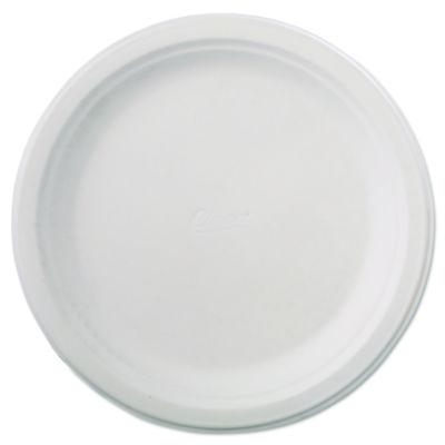 Chinet Classic Paper Dinnerware, Plate, 9.75" dia, White, 125/Pack, 4 Packs/Carton (21232)