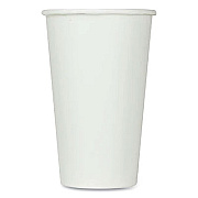 Karat Double Poly Paper Cold Cups, 16 oz, White, 1,000/Carton (CKCP16W)