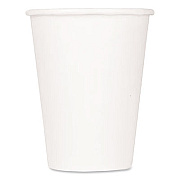 Karat Double Poly Paper Cold Cups, 9 oz, White, 1,000/Carton (CKCP9W)