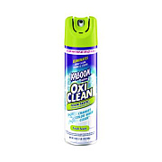 Kaboom Foamtastic Bathroom Cleaner, Fresh Scent, 19 oz Spray Can (5703700071EA)