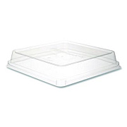 Eco-Products Renewable and Compostable Lids, 8.8 x 8.8 x 1.64, Clear, Plastic, 200/Carton (EPSCS9SLID)