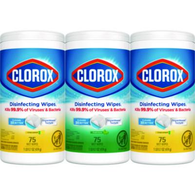 Clorox Disinfecting Wipes, Value Pack, Bleach Free Cleaning Wipes, 1-Ply, 7x8, Fresh Scent/Citrus Blend, White, 75/Canister, 3/Pack (30208PK)