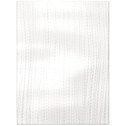 Vanity Fair Everyday Casual Napkins, 2-Ply, 12.7 x 13, White, 300/Pack (3550326)