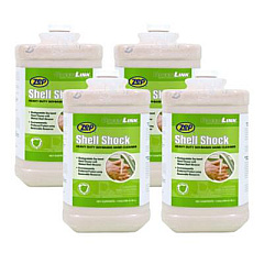 Zep Shell Shock Heavy Duty Soy-Based Hand Cleaner, Cinnamon Scent, 1 gal, 4/Carton (318524)