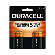 Duracell CopperTop Alkaline 9V Batteries, 2/Pack (MN1604B2Z)