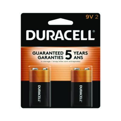 Duracell CopperTop Alkaline 9V Batteries, 2/Pack (MN1604B2Z)