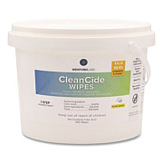 Wexford Labs CleanCide Disinfecting Wipes, 1-Ply, 8 x 5.5, Fresh Scent, White, 400/Tub (3130B400DEA)