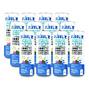 Bubbl'r Antioxidant Sparkling Water, Triple Berry Breez'r, 12 oz Can, 12 Cans/Carton (WIC00028)