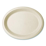 Vegware Nourish Molded Fiber Tableware, Compostable, Platter, Sugarcane, 8 x 10, White, 500/Carton (VWP009NFA)