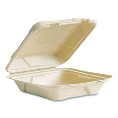 Vegware Nourish Molded Fiber Takeout Containers, Compostable, 7.9 x 7.9 x 2.9, White, Sugarcane, 200/Carton (VWHC81NFA)