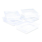 Storex Storage Tray, Flat, 1.69 gal, 10.65" x 13.17" x 2.96", Translucent, 5/Pack (62565U05C)