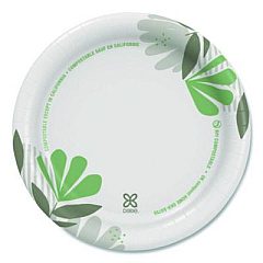 Dixie Pathways Soak-Proof Shield Mediumweight Paper Plates, WiseSize, 6.87" dia, Green/Burgundy, 125/Pack (UX7WSPK)