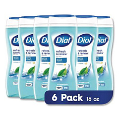 Dial Body Wash, Spring Water Scent, 16 oz, 6/Carton (02653)