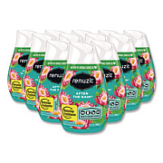 Renuzit Adjustables Air Freshener, After the Rain Scent, 7 oz Solid, 12/Carton (43100CT)