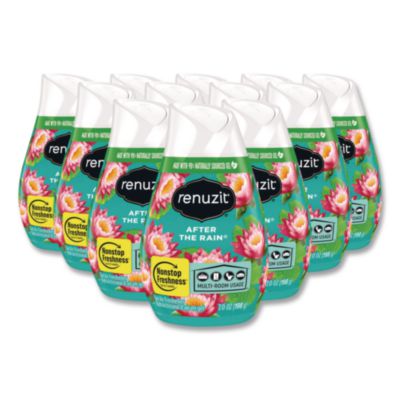 Renuzit Adjustables Air Freshener, After the Rain Scent, 7 oz Solid, 12/Carton (43100CT)