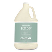 Diversified Hospitality Solutions Terra Pure Conditioner Gallon, Green Tea Lemongrass Scent, 1 gal Bottle (002256EA)