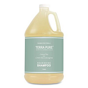 Diversified Hospitality Solutions Terra Pure Shampoo Gallon, Green Tea Lemongrass Scent, 1 gal Bottle (002287EA)