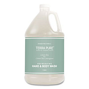 Diversified Hospitality Solutions Terra Pure Body Wash Gallon, Green Tea Lemongrass Scent, 1 gal Bottle (002294EA)