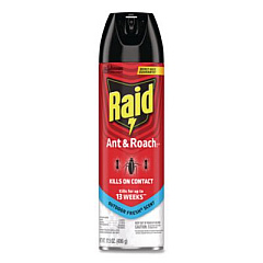 Raid Ant and Roach Killer, 17.5 oz Aerosol Spray, Outdoor Fresh (366000)