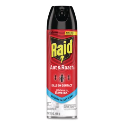 Raid Ant and Roach Killer, 17.5 oz Aerosol Spray, Outdoor Fresh (366000)