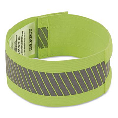 ergodyne GloWear 8100 Hi-Vis Arm/Leg Band with Hook and Loop, Large/X-Large, Lime, 2/Pack (29018)