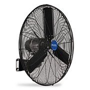 Global Industrial 2 Speed Oscillating Outdoor Rated Wall Mount Fan, 30", Black (292451)
