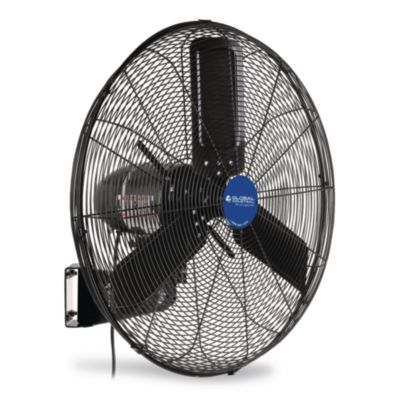 Global Industrial 2-Speed Oscillating Outdoor Rated Wall Mount Fan, 24", Black (292450)