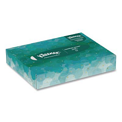 Kleenex White Facial Tissue Junior Pack, 2-Ply, 48 Sheets/Box, 64 Boxes/Carton (21195)