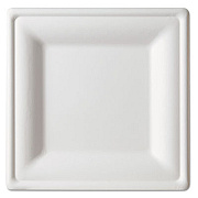 Eco-Products Renewable and Compostable Square Sugarcane Plates, Large, Natural White, 50/Pack, 5 Packs/Carton (EPP023)