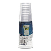 WNA Classicware Tumblers, 10 oz, Plastic, Clear, Tall, 16/Bag, 15 Bags/Carton (RSCC101516)