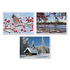 Hoffmaster Placemats, Three Winter Days Photo Designs, Smooth Surface, Straight Edges, 14" x 10", Multicolor, 1,000/Carton (702079)