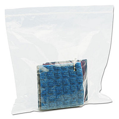 Stout by Envision Seal Closure Bags, 2 mil, 10" x 10", Clear, 500/Carton (ZF007C)