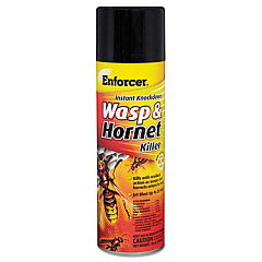 Enforcer Wasp and Hornet Spray, 16 oz Aerosol Spray, 12/Carton (EWHIK16)