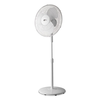 Alera 16" 3-Speed Oscillating Pedestal Stand Fan, Metal, Plastic, White (ALEFANP16W)