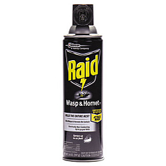 Raid Wasp and Hornet Killer, 14 oz Aerosol Spray (377651EA)