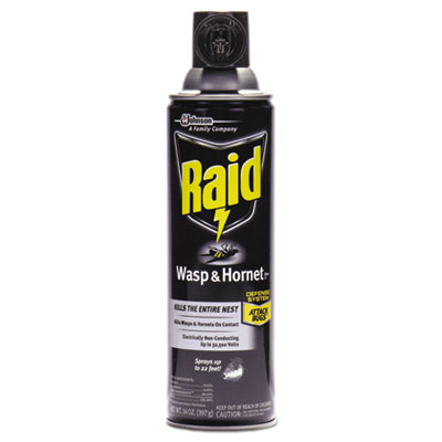 Raid Wasp and Hornet Killer, 14 oz Aerosol (668006EA)