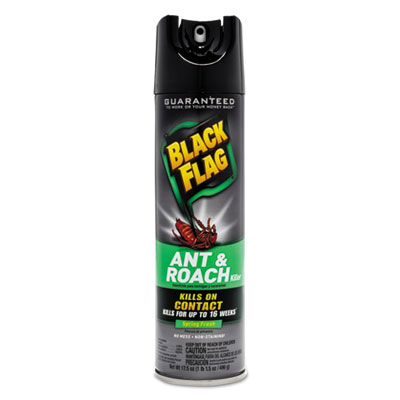 Diversey BLACK FLAG ANT AND ROACH KILLER, 17.5 OZ, AEROSOL (CB110339EA)