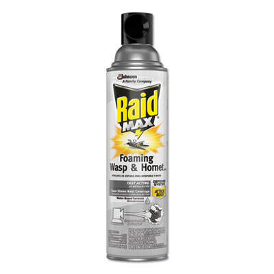 Raid 695908EA Max Foaming Wasp & Hornet Killer