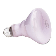 GE Incandescent Reveal BR30 Light Bulb, 65 W (48692)