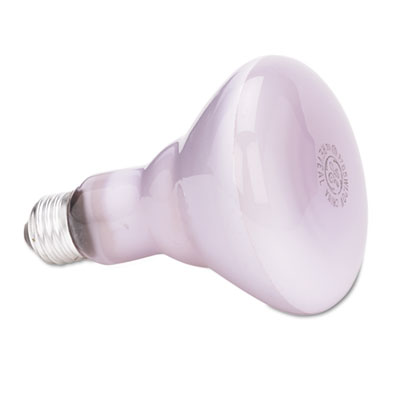 GE Incandescent Reveal BR30 Light Bulb, 65 W (48692)