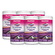 Clorox 31629 Disinfecting Wipes